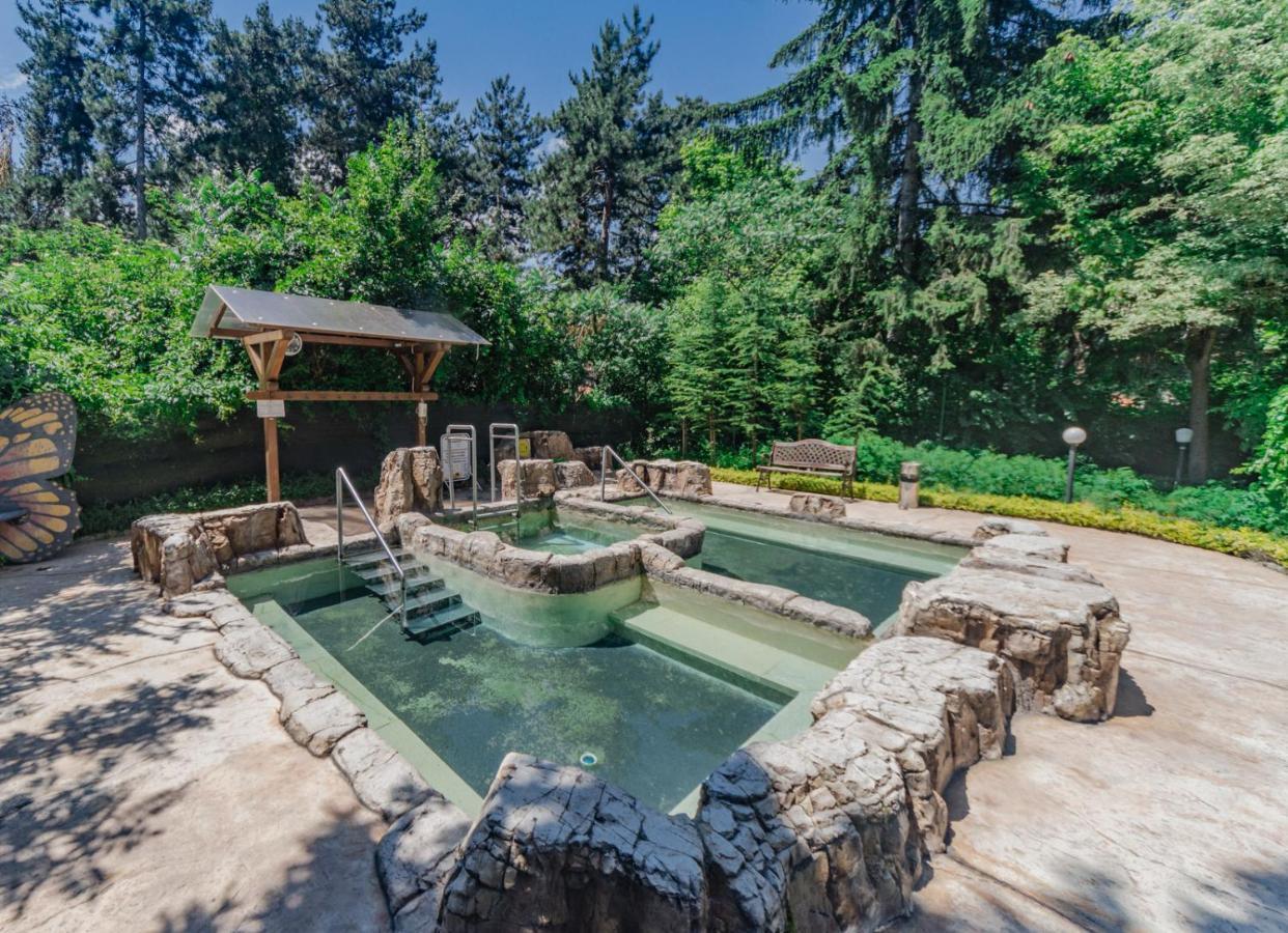 Spa Hotel Dvoretsa فيلينغراد المظهر الخارجي الصورة The hot springs at the resort