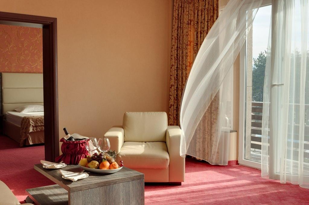 Spa Hotel Dvoretsa فيلينغراد المظهر الخارجي الصورة A room at the hotel