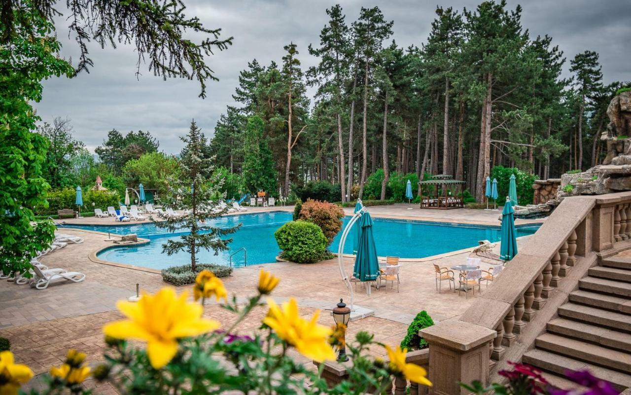 Spa Hotel Dvoretsa فيلينغراد المظهر الخارجي الصورة The swimming pool at the hotel